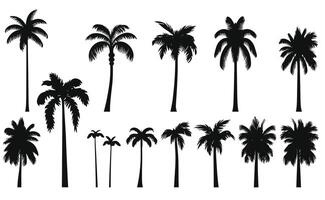 Palme Baum Illustration Kokosnuss Vektor Strand Pflanze Sommer- Design Silhouette