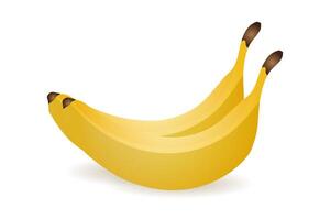 realistisk illustration av banan frukt vektor illustration