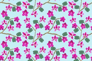 Bauhinia Blumen- nahtlos Muster. Vektor Illustration Design zum Stoff, Fliese, Verpackung, Hintergrund, und Hintergrund