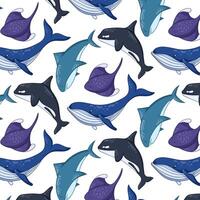 undervattenskablar och hav djur sömlös mönster i tecknad serie stil. söt haj, blå val, stingrocka och mördare val. vild marin varelser liv. vektor illustration på en vit bakgrund.