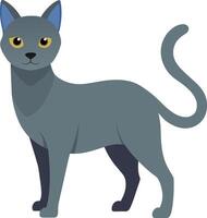 Russisch Blau Katze süß Haustier Vektor Illustration