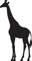 Giraffe Silhouette Vektor Illustration Weiß Hintergrund