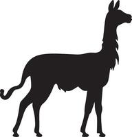 Lama Silhouette Vektor Illustration Weiß Hintergrund