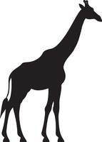 giraff silhuett vektor illustration vit bakgrund