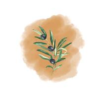 Olive Ast mit schwarz Oliven isoliert auf Ocker Aquarell Spritzen Hintergrund. Hand gezeichnet botanisch Illustration. können Sein benutzt zum Karten, Poster, Logos und Essen oder kosmetisch Design vektor