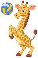 söt giraff tecknad serie spelar volleyboll vektor illustration. djur- natur ikon begrepp isolerat premie vektor