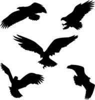 Adler Silhouette auf Weiß Hintergrund Vektor Design