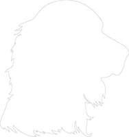 Boykin Spaniel Gliederung Silhouette vektor