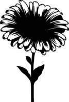 ai generiert Gerbera Gänseblümchen schwarz Silhouette vektor