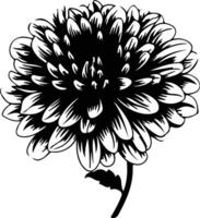 ai generiert Chrysantheme schwarz Silhouette vektor