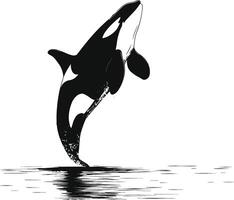 ai generiert Silhouette das Orca oder Mörder Wal schwarz Farbe nur vektor