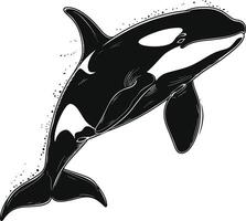 ai generiert Silhouette das Orca oder Mörder Wal schwarz Farbe nur vektor