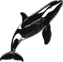 ai generiert Silhouette das Orca oder Mörder Wal schwarz Farbe nur vektor