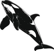 ai generiert Silhouette das Orca oder Mörder Wal schwarz Farbe nur vektor