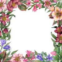 Platz Blumen- Rahmen mit Nieswurz, Hyazinthe. Frühling Blumen. botanisch malen. Aquarell Illustration vektor