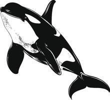 ai generiert Silhouette das Orca oder Mörder Wal schwarz Farbe nur vektor