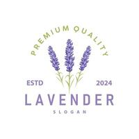 lavendel- logotyp elegant lila blomma växt illustration blommig prydnad design vektor