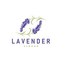 Lavendel Logo elegant lila Blume Pflanze Illustration Blumen- Ornament Design vektor