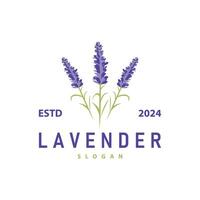 lavendel- logotyp elegant lila blomma växt illustration blommig prydnad design vektor