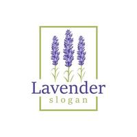 Lavendel Logo elegant lila Blume Pflanze Illustration Blumen- Ornament Design vektor