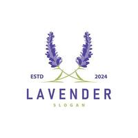 Lavendel Logo elegant lila Blume Pflanze Illustration Blumen- Ornament Design vektor