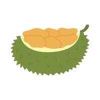 Durian frukt ikon. asiatisk färsk frukt vektor