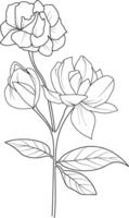 enda linje teckning av skönhet färsk jasmin för Hem vägg dekor tryckbar affisch dekorativ jasmin blomma begrepp. modern linje teckning jasmin blomma vektor illustration
