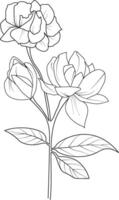 Single Linie Zeichnung von Schönheit frisch Jasmin zum Zuhause Mauer Dekor druckbar Poster dekorativ Jasmin Blume Konzept. modern Linie Zeichnung Jasmin Blume Vektor Illustration