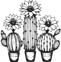 Wüste Kaktus Färbung Buchseite, Gliederung Kaktus Färbung Buchseite, realistisch Kaktus Färbung Buchseite, Bleistift Kaktus Zeichnung, Bleistift skizzieren Kaktus Zeichnung, Kaktus Zeichnung schwarz und Weiß vektor