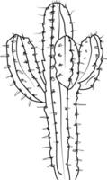 kaktus teckning svart och vit, enkel kaktus teckning svart och vit söt kaktus ClipArt svart och vit, kaktus linje konst, kaktus vektor konst, hand dragen kaktus, kaktus färg sidor för barn