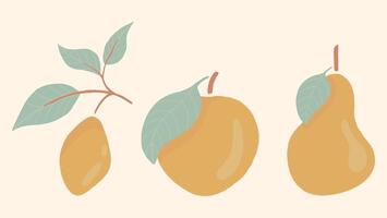 illustration av citron, äpple, och päron med löv på en blek bakgrund vektor