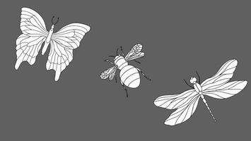 trio av skissat insekter terar fjäril, bi, och trollslända på grå bakgrund vektor