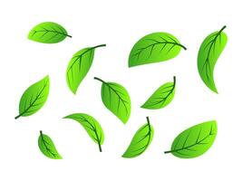 grön te löv flygande i de luft vektor