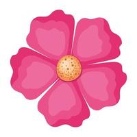 isoliertes rosafarbenes Blumenvektordesign vektor