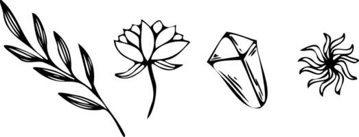 mystiker magi vektor linje element. kontur minimalistisk hand dragen klotter i svart. mystisk gren med löv, kristall, Sol, pion blomma. översikt uppsättning av element för logotyp, tatuering, böcker, grafik