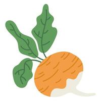 tecknad serie rova. hand dragen rå gott rova rot grönsak. organisk trädgård gul rova platt vektor illustration på vit bakgrund