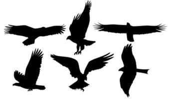 uppsättning vektor Örn flygande svart silhuett ikon illustration