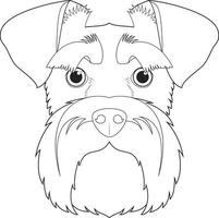 schnauzer hund lätt färg tecknad serie vektor illustration. isolerat på vit bakgrund