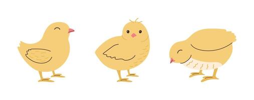süß Hand gezeichnet Hähnchen Satz. komisch Gelb kawaii Küken im anders posiert zum Urlaub Dekoration. süß Vogel im Gekritzel Stil Feind Ostern Postkarte. vektor