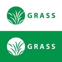 bruka illustration grön gräs logotyp design enkel naturlig gräs vektor mall