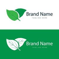 grön blad logotyp vektor naturlig växt natur design ikon blad mall illustration