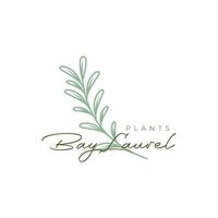 Bucht Lorbeer Pflanze Blätter feminin Florist Gartenarbeit botanisch Natur Bauernhof Logo Design Vektor Symbol Illustration