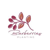 berberis frukt plantering löv trädgårdsarbete blomsterhandlare botanisk bruka feminin färgrik logotyp design vektor ikon illustration
