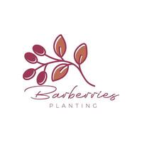 Berberitzen Obst Pflanzen Blätter Gartenarbeit Florist botanisch Bauernhof feminin bunt Logo Design Vektor Symbol Illustration