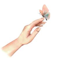 vit kvinna s hand, handflatan sida se, rörande en delikat persika ludd fjäril. hand dragen vattenfärg illustration. sammansättning isolerat från de bakgrund. vektor