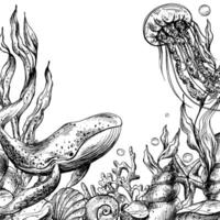 unter Wasser Welt Clip Art mit Meer Tiere Wal, Qualle, Muscheln, Koralle und Algen. Grafik Illustration Hand gezeichnet im schwarz Tinte. Vorlage, Rahmen eps Vektor. vektor