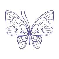 delikat fjäril med mönster på de vingar, enkel, ljuv, ljus, romantisk. illustration grafiskt ritad för hand i lila bläck i linje stil. isolerat eps vektor objekt