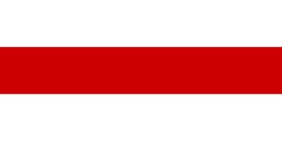 flagge von weißrussland vektor