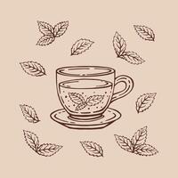 uppsättning med glas kopp te, mynta löv. hand dragen vektor illustration i översikt stil.