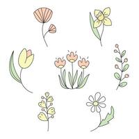 Frühling Blumen Satz. Vektor Illustration. isoliert auf Weiß Hintergrund